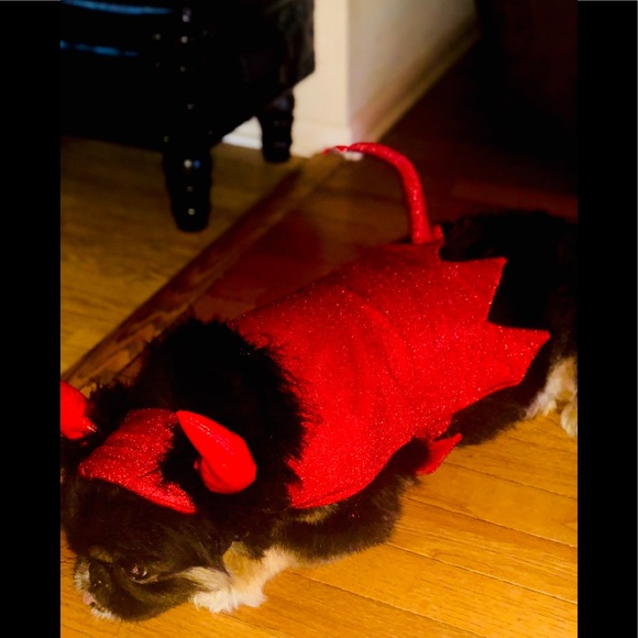 Other Little Devil Dog Costume For Pups Poshmark